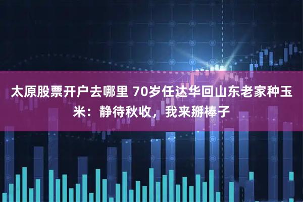 太原股票开户去哪里 70岁任达华回山东老家种玉米：静待秋收，我来掰棒子